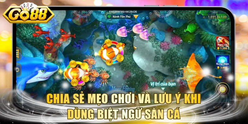Chia sẻ mẹo chơi và lưu ý khi dùng biệt ngữ săn cá