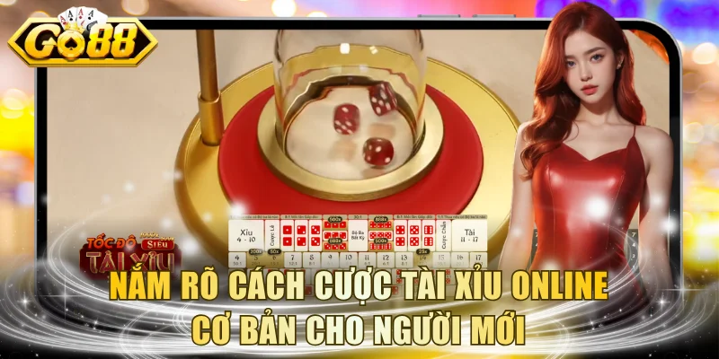 Nắm rõ cách cược Tài Xỉu online cơ bản cho người mới